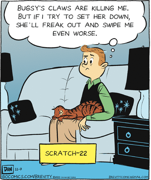 brevity